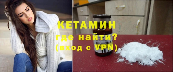индика Осинники