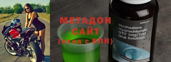 индика Осинники
