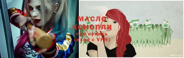индика Осинники