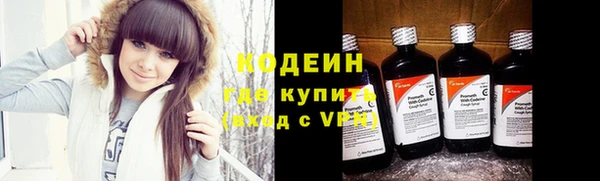 индика Осинники