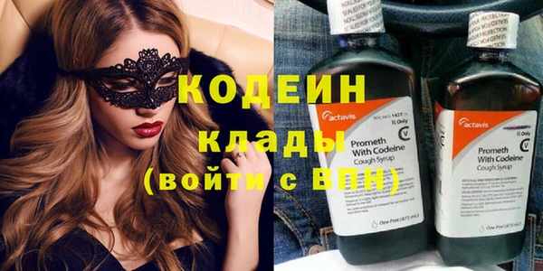 индика Осинники