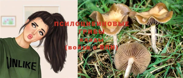 индика Осинники