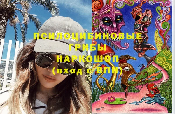 индика Осинники