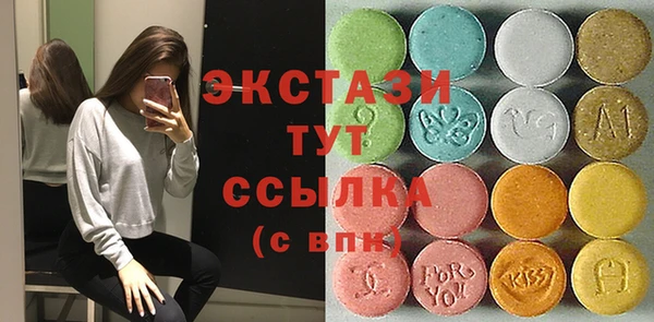 индика Осинники