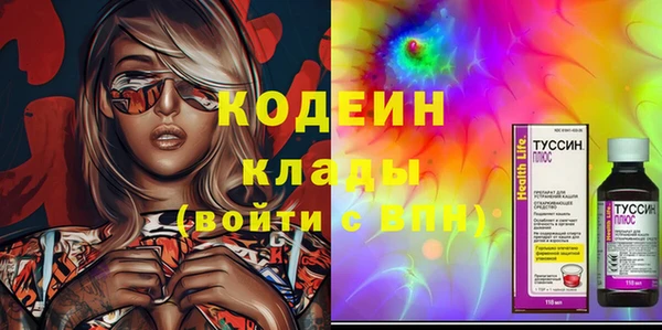 индика Осинники