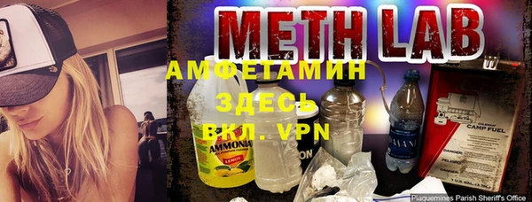 индика Осинники