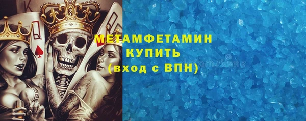 индика Осинники