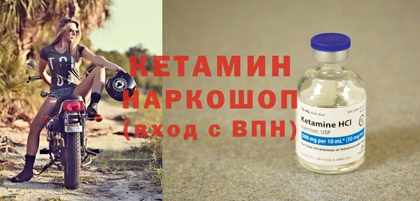 индика Осинники