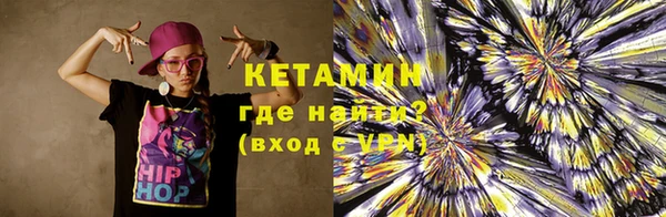 индика Осинники