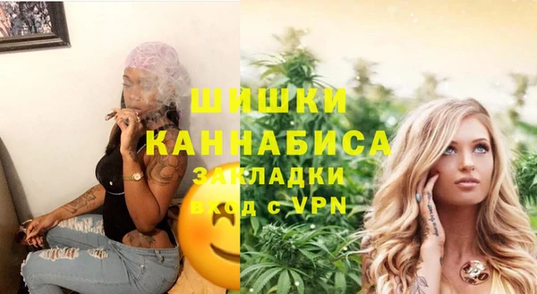 индика Осинники