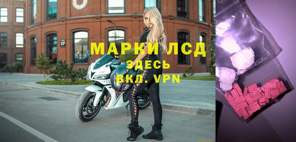 индика Осинники