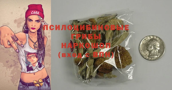 индика Осинники