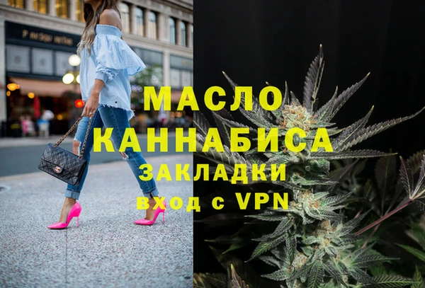 индика Осинники