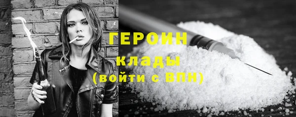 индика Осинники