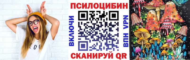 даркнет сайт  Баймак  Псилоцибиновые грибы Psilocybe 